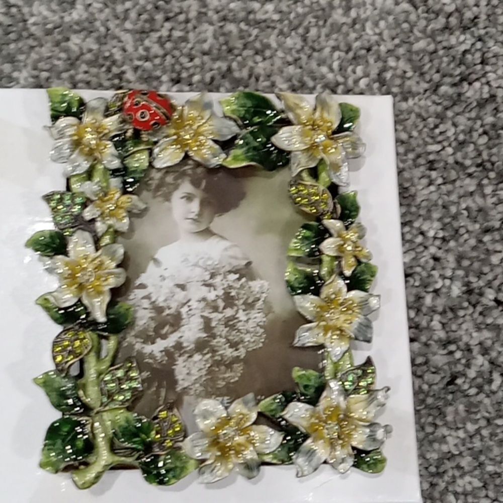 Pair of 2 Tizo design picture frames Lady Bug & Bee with Floral  Foliage NWT